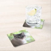 Katze Rechteckiger Pappuntersetzer (Vor Ort)