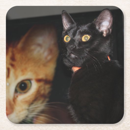 Katze Rechteckiger Pappuntersetzer (Vorderseite)