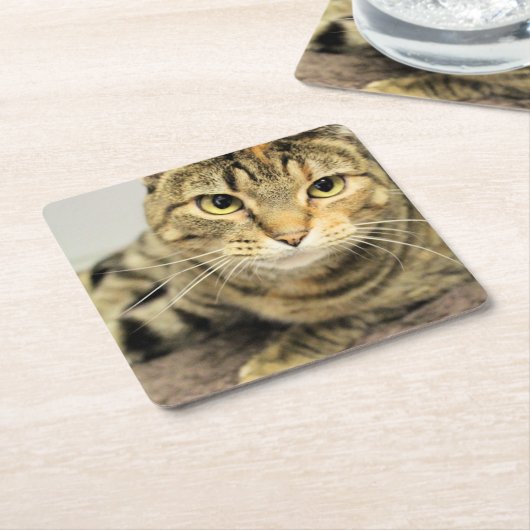 Katze Rechteckiger Pappuntersetzer (angewinkelt)