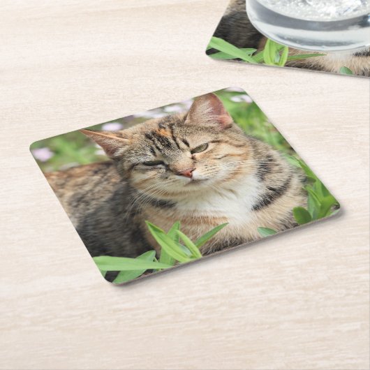 Katze Rechteckiger Pappuntersetzer (angewinkelt)