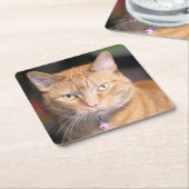 Katze Rechteckiger Pappuntersetzer (angewinkelt)