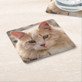 Katze Rechteckiger Pappuntersetzer (angewinkelt)