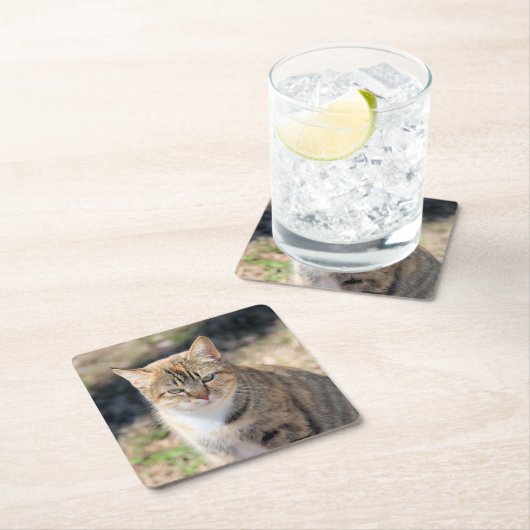 Katze Rechteckiger Pappuntersetzer (Vor Ort)