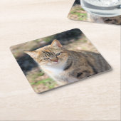 Katze Rechteckiger Pappuntersetzer (angewinkelt)