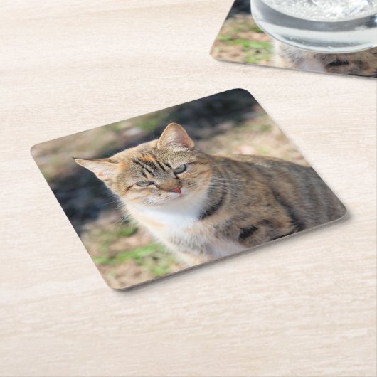 Katze Rechteckiger Pappuntersetzer (angewinkelt)