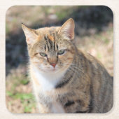 Katze Rechteckiger Pappuntersetzer (Vorderseite)