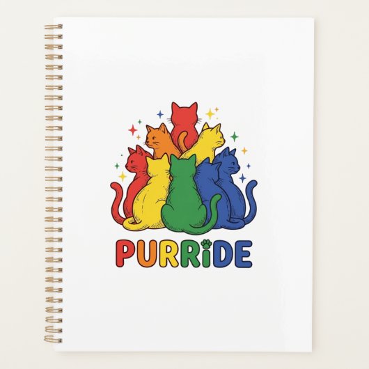 Katze Regenbogen Vintage Vektor Design_1 Planer (Vorderseite)