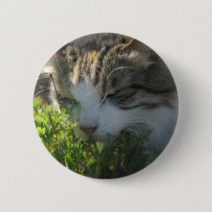 Katze riecht eine Pflanze Button
