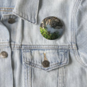 Katze riecht eine Pflanze Button (Beispiel)