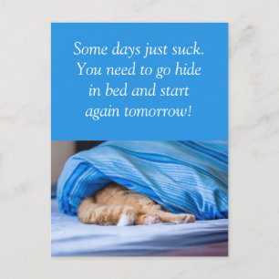 Katze rot Bett versteckt Some days suck Postkarte