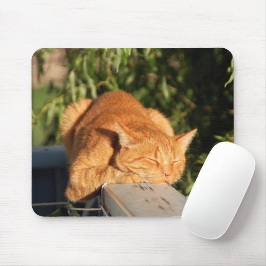 Katze, rote Katze, Haustier Mousepad (Mit Mouse)