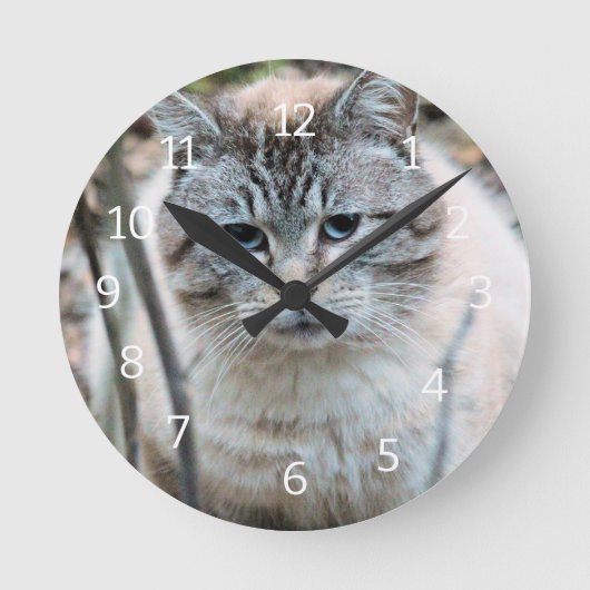 Katze Runde Wanduhr (Vorderseite)