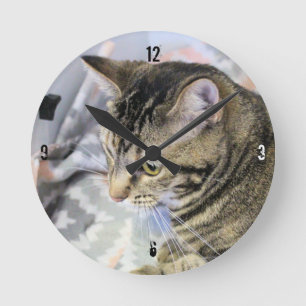 Katze Runde Wanduhr