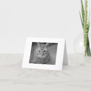 Katze sagt.. karte