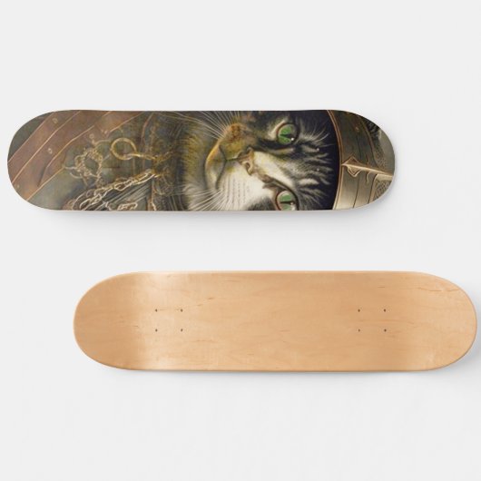 Katze Samurai. Skateboard (Horizontal)