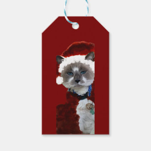 Katze Santa Krallen Weihnachten Maureen Girard Bla Geschenkanhänger