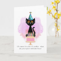 Katze | Sarcastic Party Hat Cat Funny Birthday Car