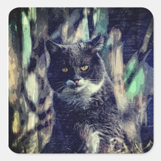 Katze, Säugetier, Tier Quadratischer Aufkleber (Vorderseite)