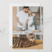 Katze Save the Date Menschen heiraten Hochzeit (Rückseite)