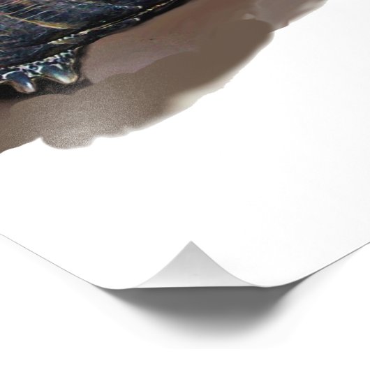 KATZE, SCHALTFLÄCHE UND BASKETBALL FOTODRUCK (Ecke)