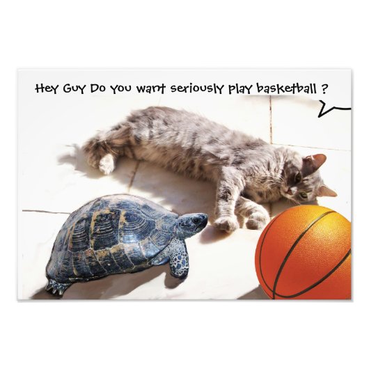 KATZE, SCHALTFLÄCHE UND BASKETBALL FOTODRUCK (Vorne)