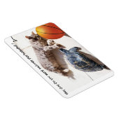 KATZE, SCHALTFLÄCHE UND BASKETBALL MAGNET (Rechte Seite)