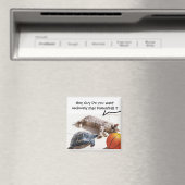 KATZE, SCHALTFLÄCHE UND BASKETBALL MAGNET (In Situ (Geschirrspüler))