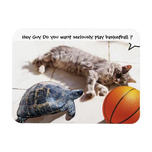 KATZE, SCHALTFLÄCHE UND BASKETBALL MAGNET (Horizontal)