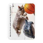 KATZE, SCHALTFLÄCHE UND BASKETBALL MAGNET (Vertikal)