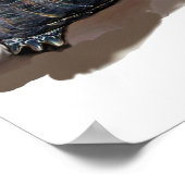 KATZE, SCHALTFLÄCHE UND BASKETBALL POSTER (Ecke)