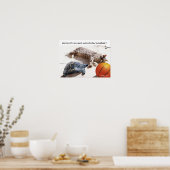 KATZE, SCHALTFLÄCHE UND BASKETBALL POSTER (Küche)