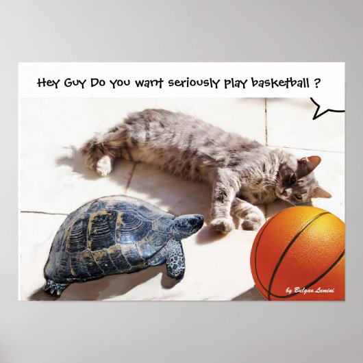 KATZE, SCHALTFLÄCHE UND BASKETBALL POSTER (Vorne)