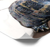 KATZE, SCHALTFLÄCHE UND BASKETBALL POSTER (Ecke)