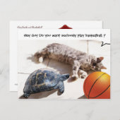 KATZE, SCHALTFLÄCHE UND BASKETBALL POSTKARTE (Vorne/Hinten)