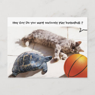 KATZE, SCHALTFLÄCHE UND BASKETBALL POSTKARTE