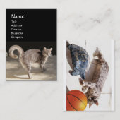 KATZE, SCHALTFLÄCHE UND BASKETBALL VISITENKARTE (Vorne/Hinten)