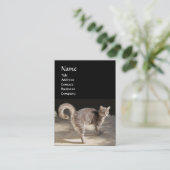 KATZE, SCHALTFLÄCHE UND BASKETBALL VISITENKARTE (Stehend Vorderseite)