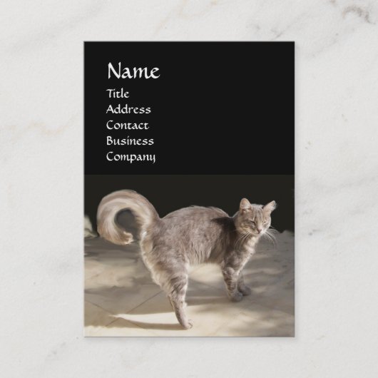 KATZE, SCHALTFLÄCHE UND BASKETBALL VISITENKARTE (Vorderseite)