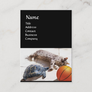 KATZE, SCHALTFLÄCHE UND BASKETBALL VISITENKARTE