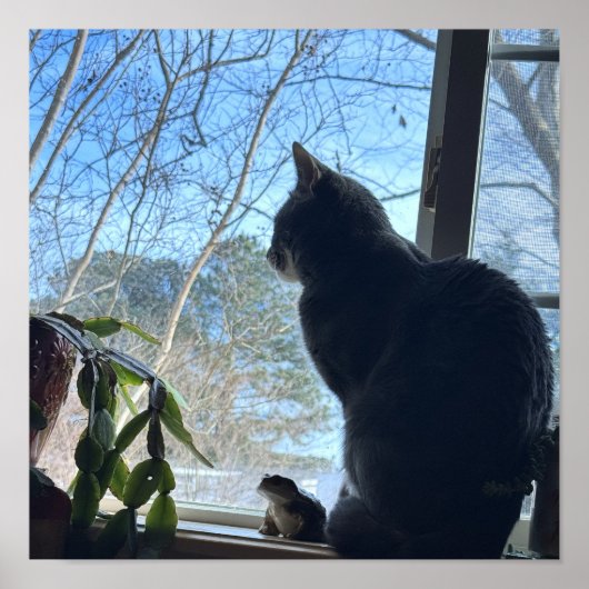 Katze schaut aus dem Fenster Poster (Vorne)