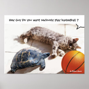 KATZE, SCHILDKRÖTE UND BASKETBALL POSTER