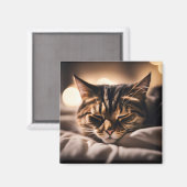 Katze Schlaf Magnet (Vorderseite/Rückseite)