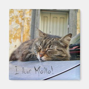 Katze schlafend auf einem Auto Magnet
