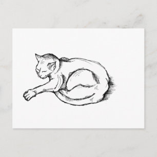 Katze Schlafende Illustration Federzeichnung Kunst Postkarte