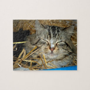 Katze Schlafende Kitty Foto Puzzle