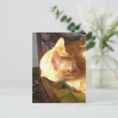 Katze schläft auf der Arbeit Postkarte (Stehend Vorderseite)