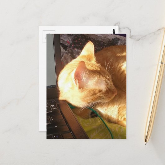 Katze schläft auf der Arbeit Postkarte (Vorderseite/Rückseite Beispiel)