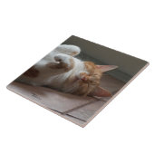Katze schläft auf seiner Keramik hinten Tile Fliese (Seite)