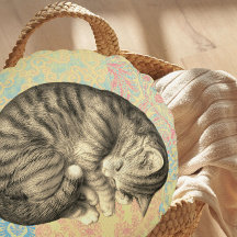 Katze schlief auf Bettdecke niedlich gemütlich ein