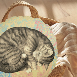 Katze schlief auf Bettdecke niedlich gemütlich ein Rundes Kissen